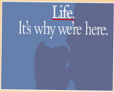 Prolife OB/Gyn's